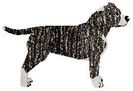 ACK's There Is No Beastmode — “Shyan”