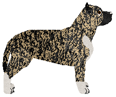 Cansas' Live Like a Beast — “Maximus”