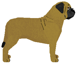 SWSK's Only a Murmur — “Mara”