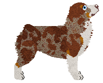 Cansas' You Jump, I Jump — “Bronte”