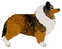 Ice Phoenix Sunshine Reggae — “Fox”