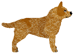 Cansas' Gap In The Clouds — “Flann”