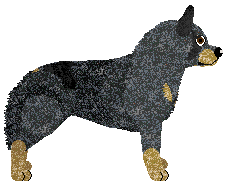 MPWD's Cotidie Morimur — “Crayola”