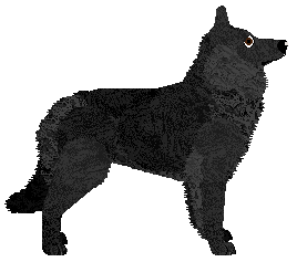 Cansas' Come Back To Earth — “Nebula”