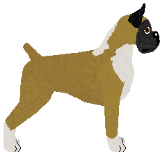 Pogarda KLUB NOCNY — “Rura”