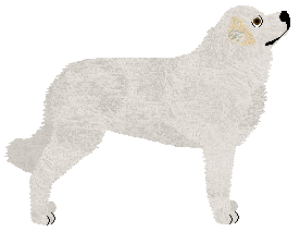 Aura's Death or Glory — “Victory”