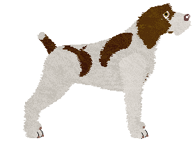 Damage Inc. SUNFYRE — “Madzia”