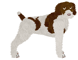 Profile image of Damage Inc. SUNFYRE