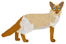 Raposa Sugar and Spice — “Habanero”