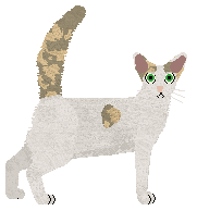 Raposa Pull Me Back to Shore — “Elda”