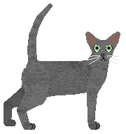 Raposa Spinner of Webs — “Kineret”