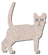 Profile image of Airship Naked And Afraid