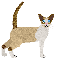 Cymophane Ramazzotti Fernet — “Fernet”