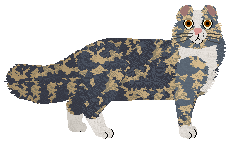 Cymophane Beavertown Gamma Ray — “Ray”