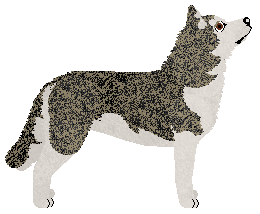 Damage Inc. HUNTERS OF DUNE — “Diuna”