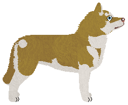 Damage Inc. ALTERED CARBON — “Toy”