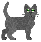 Loveshack Chicken Curry — “Curry”