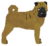 Profile image of Energizing MISS AMERICA