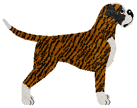 Energizing I COULD WAKE UP WITH AMNESIA — “Free”