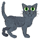 Loveshack Free Internet — “Wifi”