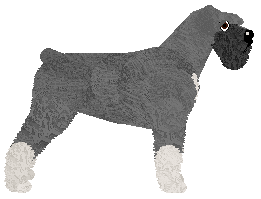 Bearded Force Kamerdynerka — “Tamara”