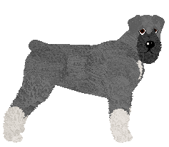 Profile image of Bearded Force Kamerdynerka