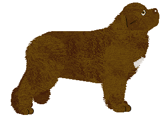 Energizing CZOKO LOKO — “Dana”