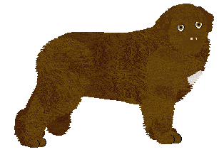 Profile image of Energizing CZOKO LOKO