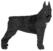 Profile image of Bearded Force Obrońca Domu