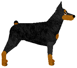 Energizing HOOP AND SIUUP — “Isaac”