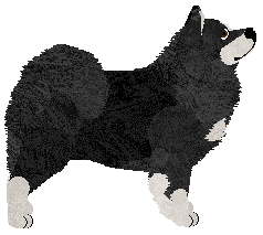 Energizing Snowflake — “Luna”