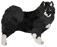 Profile image of Energizing Snowflake