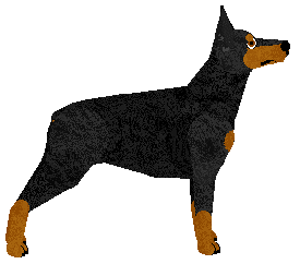 Energizing NIFF MAFIA — “Mafia”