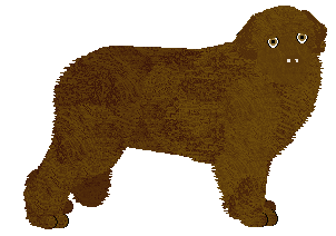 Profile image of Energizing Caramel Mocha