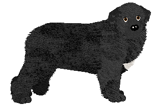 Profile image of Flame/Oakley's If I Stay