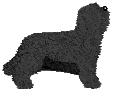 Energizing POLSKI TRIUMF — “Aisha”