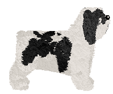 Polka Czarodziej — “Czarek”