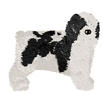 Profile image of Polka Czarodziej