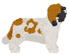 Polka Marysieńka — “Maryś”