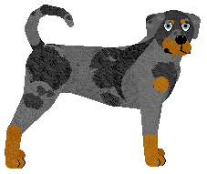 Profile image of Energizing NINJA WARRIOR