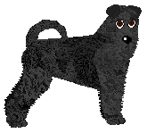 Profile image of Bearded Force Disco Polo