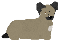 Energizing Long Walk Home — “Olek”