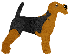 Energizing Opera Mydlana — “Opera”