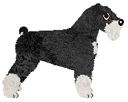 Dragosani LUCY PHERE — “Lucy”