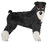 Profile image of Dragosani LUCY PHERE