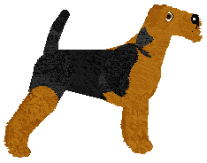 NMDK's Groovy Daze — “Ras”