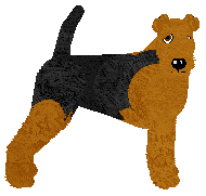 Profile image of NMDK's Groovy Daze