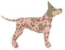 Dragosani CRAZY LADY — “Próba”