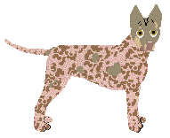 Profile image of Dragosani CRAZY LADY