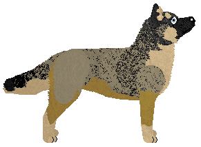 Dragosani KAN TRACE — “Tic Tac”